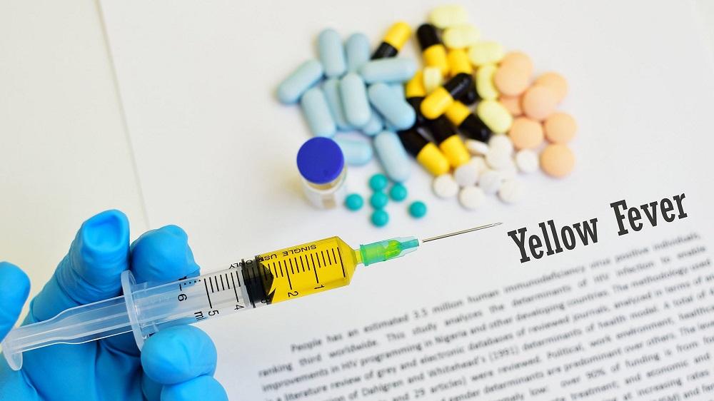 Yellow-Fever-Treatment-Market.jpg